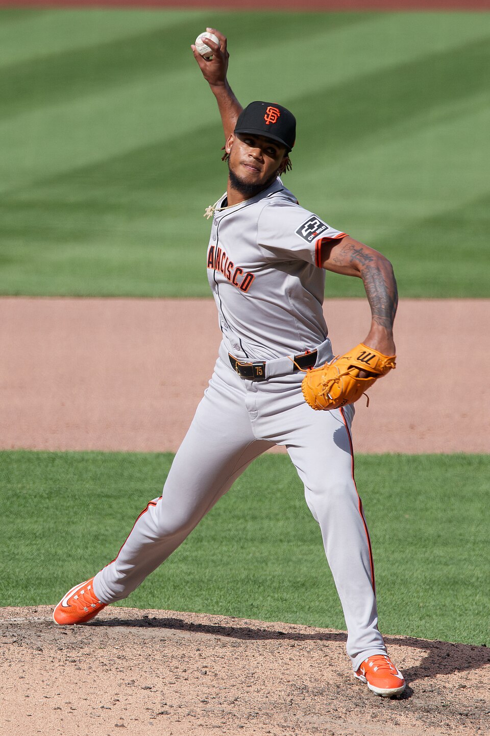 Discover the 8 Essential Herbs in Authentic Essiac Tea